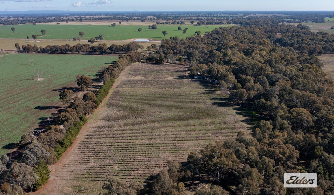 37 Withers Road, Lilliput, VIC, 3682 - Image 6