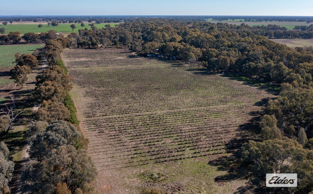 37 Withers Road, Lilliput, VIC, 3682 - Image 9