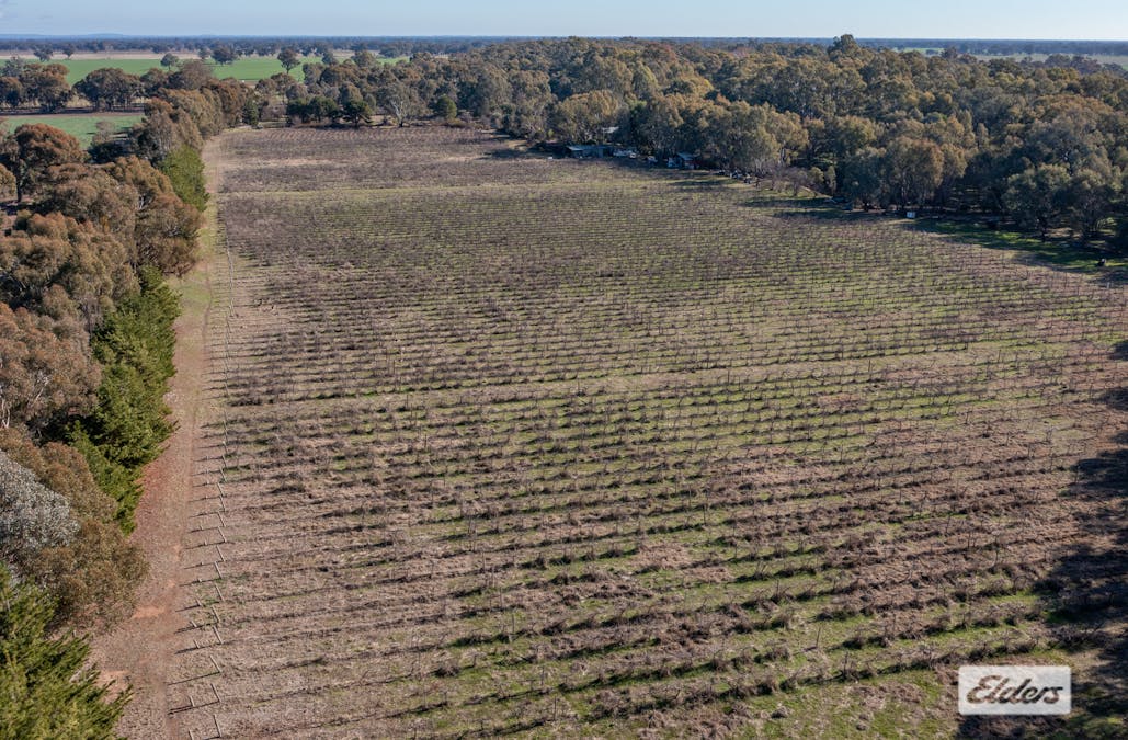 37 Withers Road, Lilliput, VIC, 3682 - Image 10
