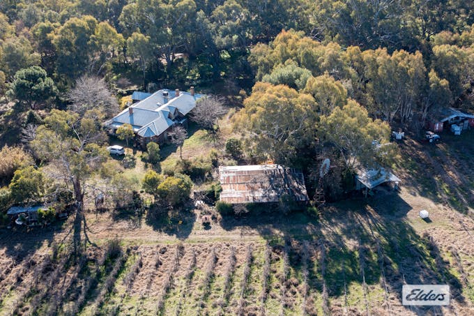 37 Withers Road, Lilliput, VIC, 3682 - Image 1