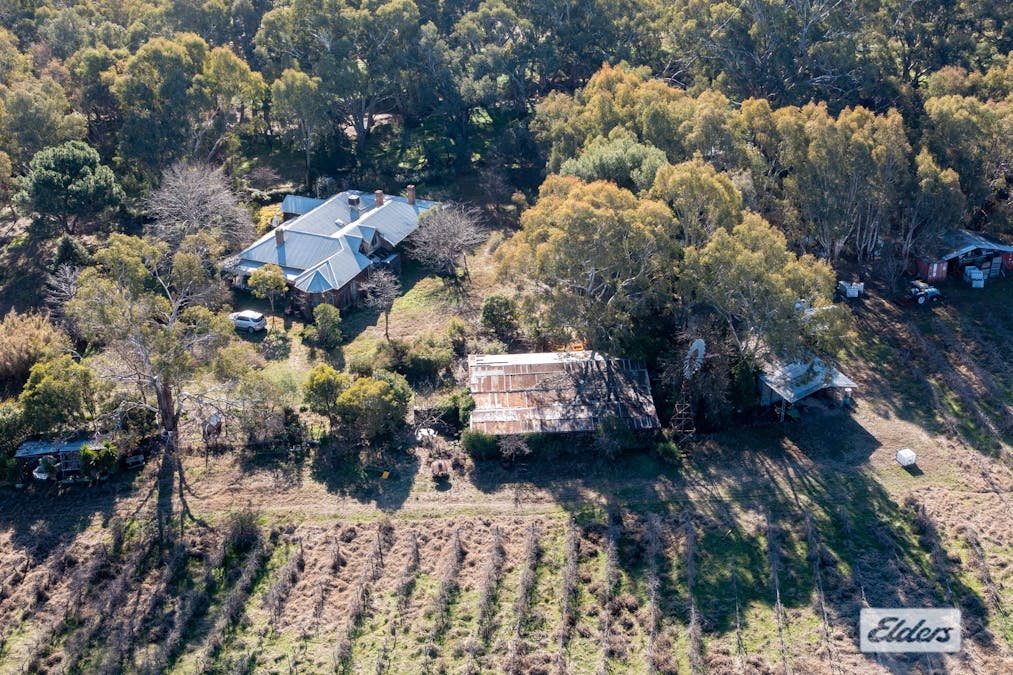 37 Withers Road, Lilliput, VIC, 3682 - Image 1