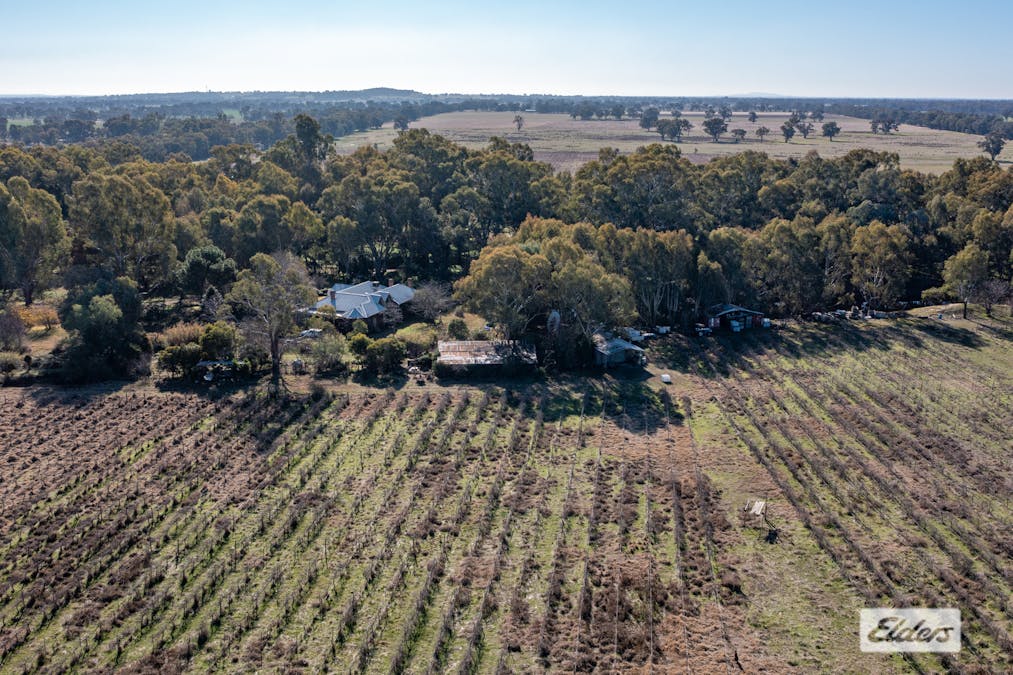 37 Withers Road, Lilliput, VIC, 3682 - Image 12