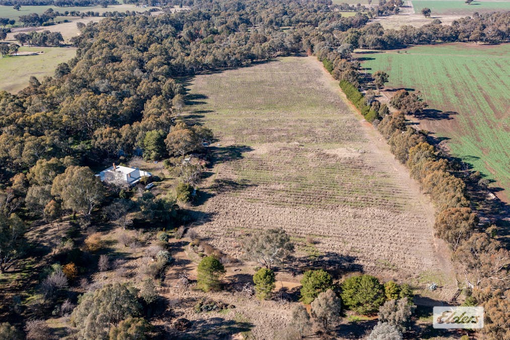 37 Withers Road, Lilliput, VIC, 3682 - Image 13