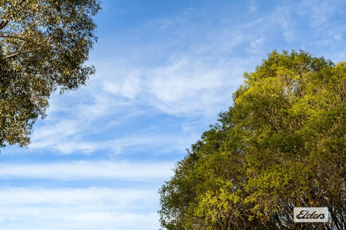 103 & 114 McLeod Street, Gerogery, NSW, 2642 - Image 19