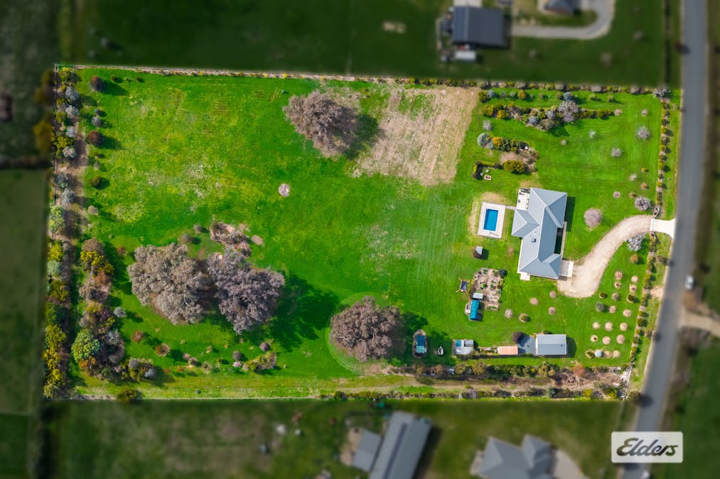 54 Mulgrave Road, Jindera, NSW, 2642 - Image 31