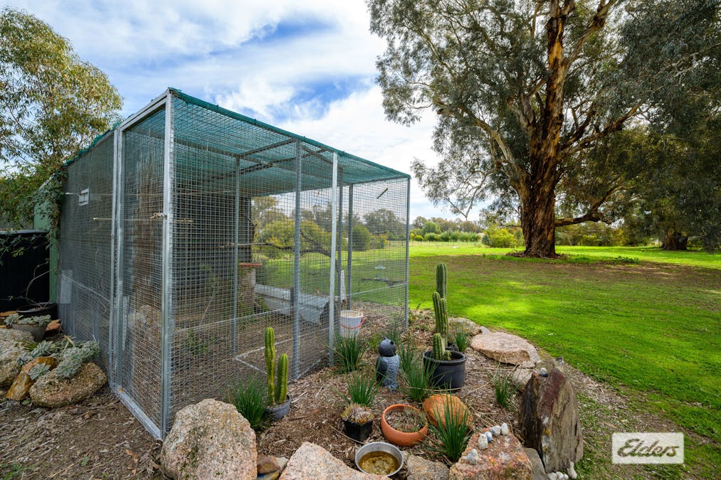 54 Mulgrave Road, Jindera, NSW, 2642 - Image 25