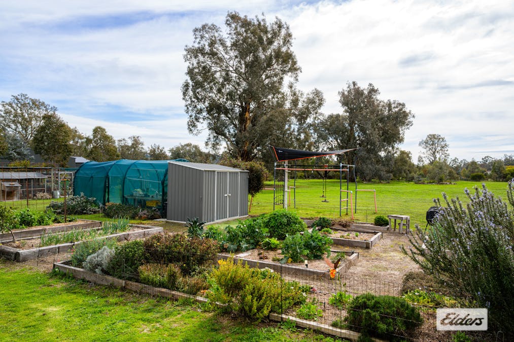 54 Mulgrave Road, Jindera, NSW, 2642 - Image 29