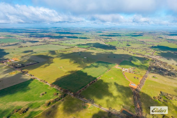 Bethel Road, Burrumbuttock, NSW, 2642 - Image 1