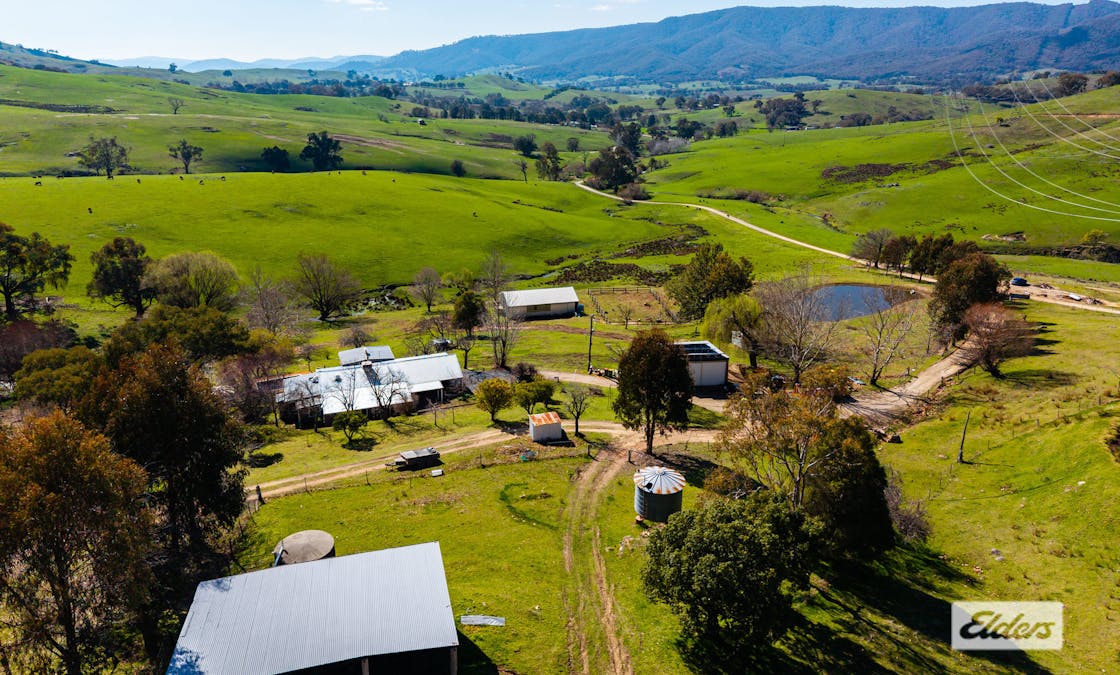 398 Egan Lane, Sandy Creek, VIC, 3695 - Image 20