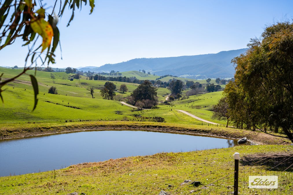 398 Egan Lane, Sandy Creek, VIC, 3695 - Image 22
