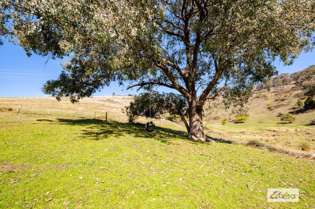 398 Egan Lane, Sandy Creek, VIC, 3695 - Image 23