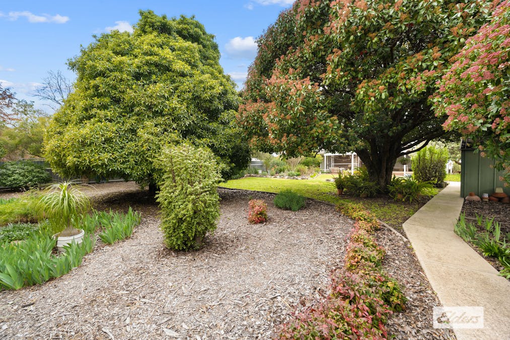 21  Campbell Street, Rutherglen, VIC, 3685 - Image 22