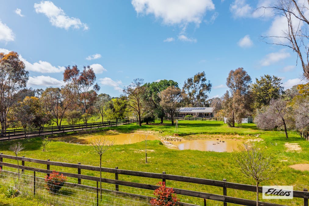 644 Chiltern - Barnawartha Road, Barnawartha, VIC, 3688 - Image 3