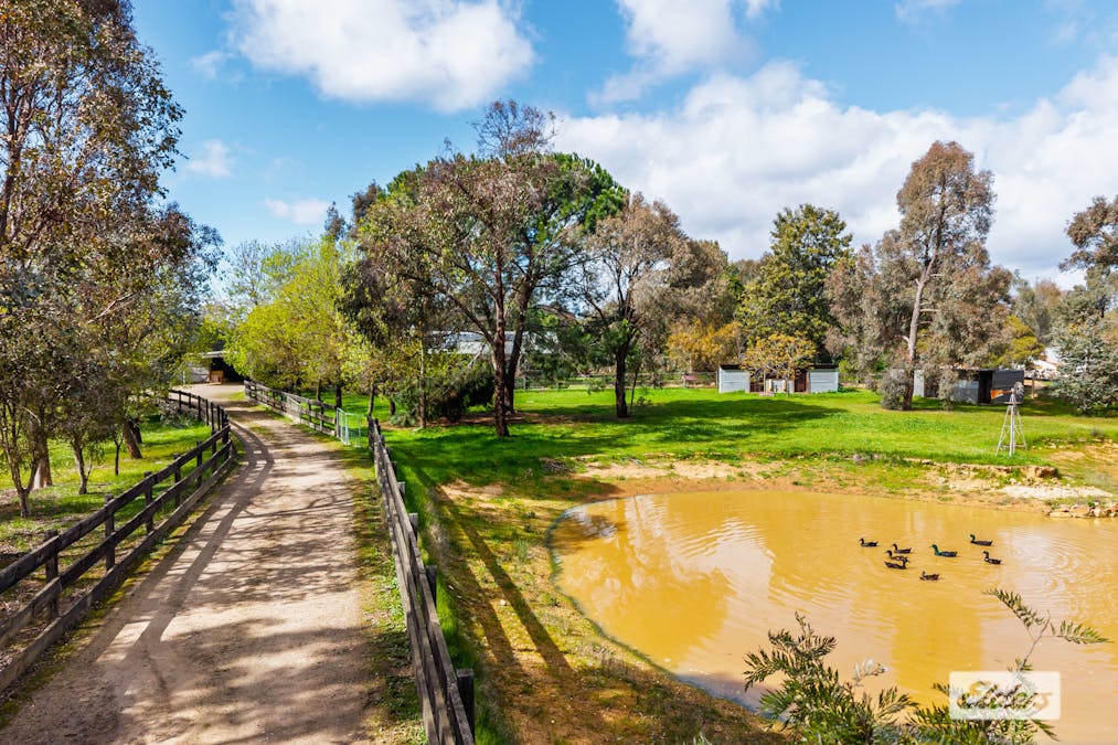 644 Chiltern - Barnawartha Road, Barnawartha, VIC, 3688 - Image 4