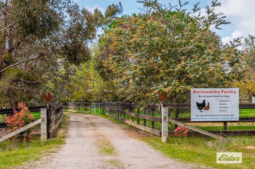 644 Chiltern - Barnawartha Road, Barnawartha, VIC, 3688 - Image 5