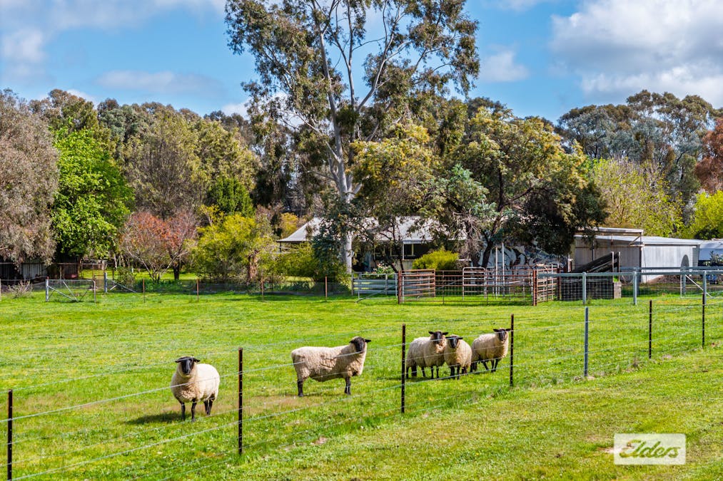 644 Chiltern - Barnawartha Road, Barnawartha, VIC, 3688 - Image 10