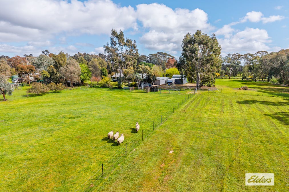 644 Chiltern - Barnawartha Road, Barnawartha, VIC, 3688 - Image 11