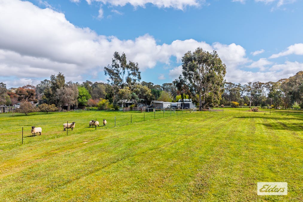 644 Chiltern - Barnawartha Road, Barnawartha, VIC, 3688 - Image 12