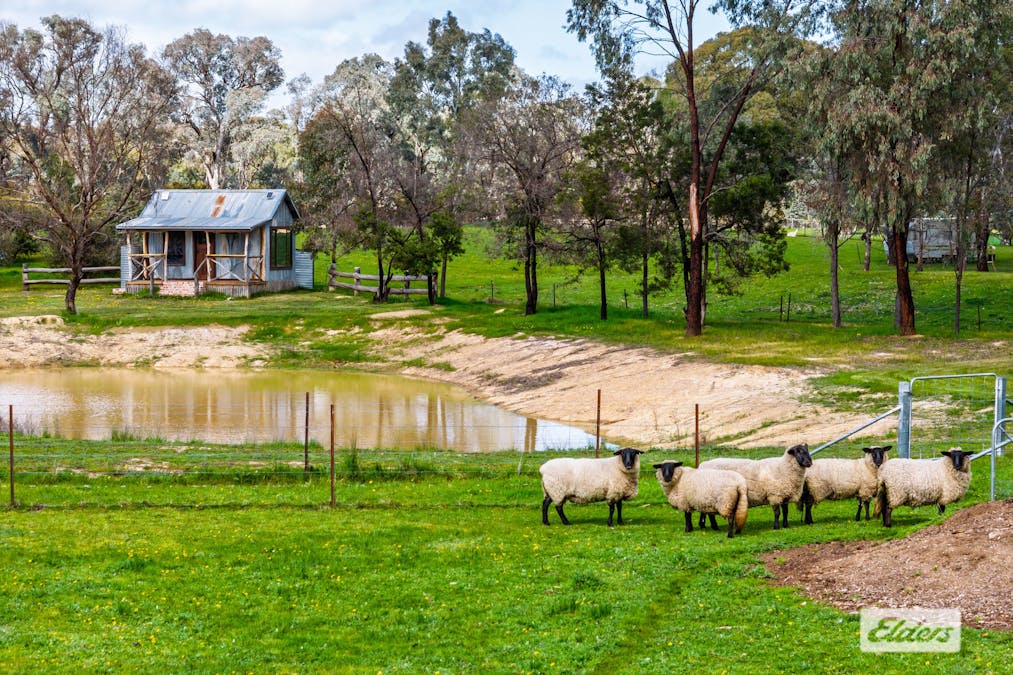 644 Chiltern - Barnawartha Road, Barnawartha, VIC, 3688 - Image 14