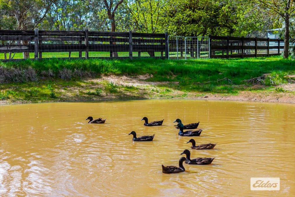 644 Chiltern - Barnawartha Road, Barnawartha, VIC, 3688 - Image 17