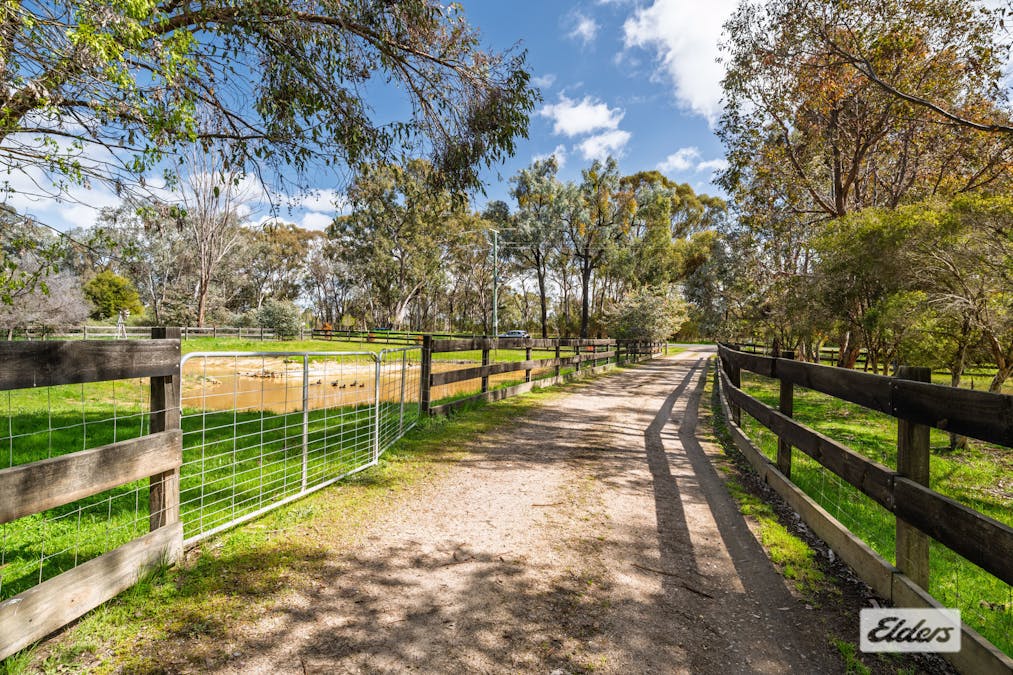 644 Chiltern - Barnawartha Road, Barnawartha, VIC, 3688 - Image 19