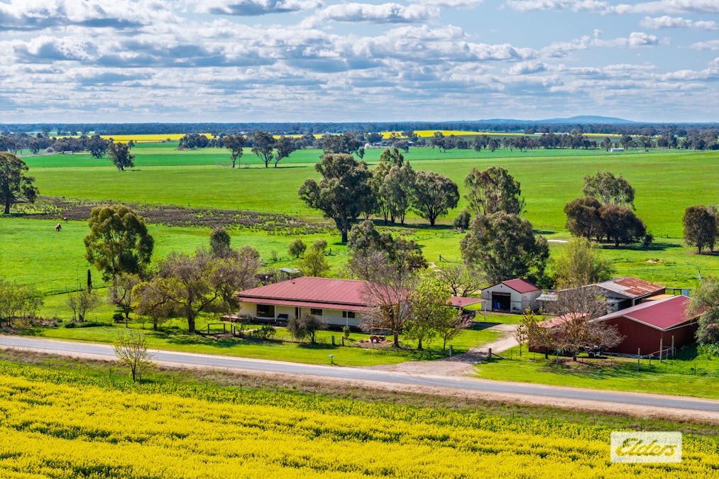 509 Cornishtown Road , Cornishtown, VIC, 3683 - Image 21