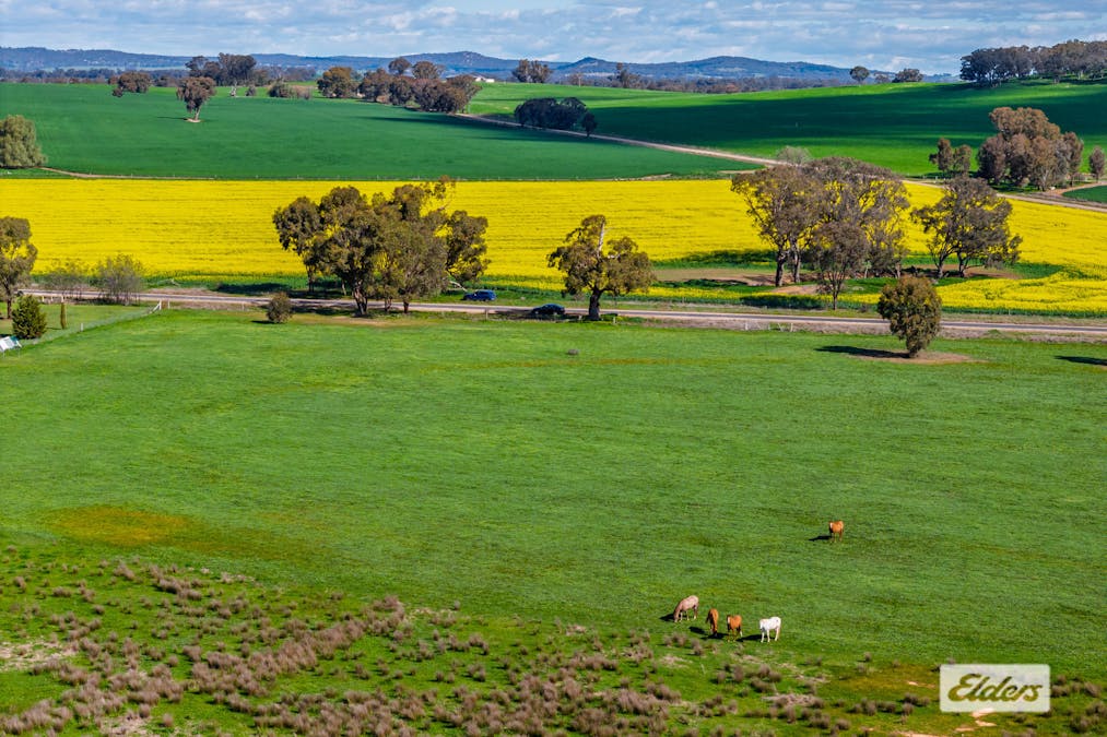 509 Cornishtown Road , Cornishtown, VIC, 3683 - Image 24