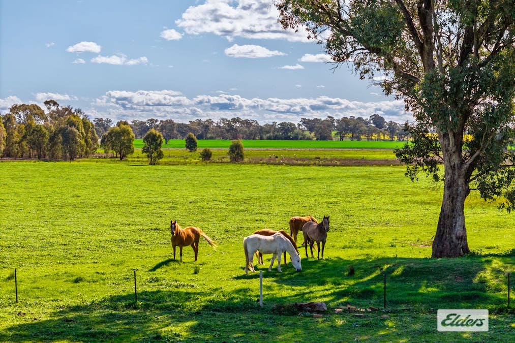 509 Cornishtown Road , Cornishtown, VIC, 3683 - Image 27