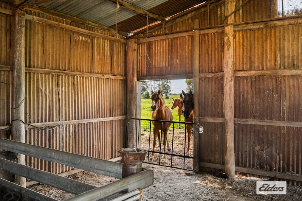 509 Cornishtown Road , Cornishtown, VIC, 3683 - Image 29