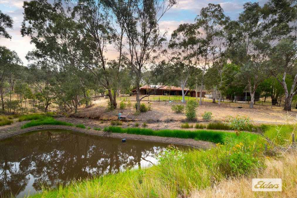 472 Splitters Creek Road, Splitters Creek, NSW, 2640 - Image 23