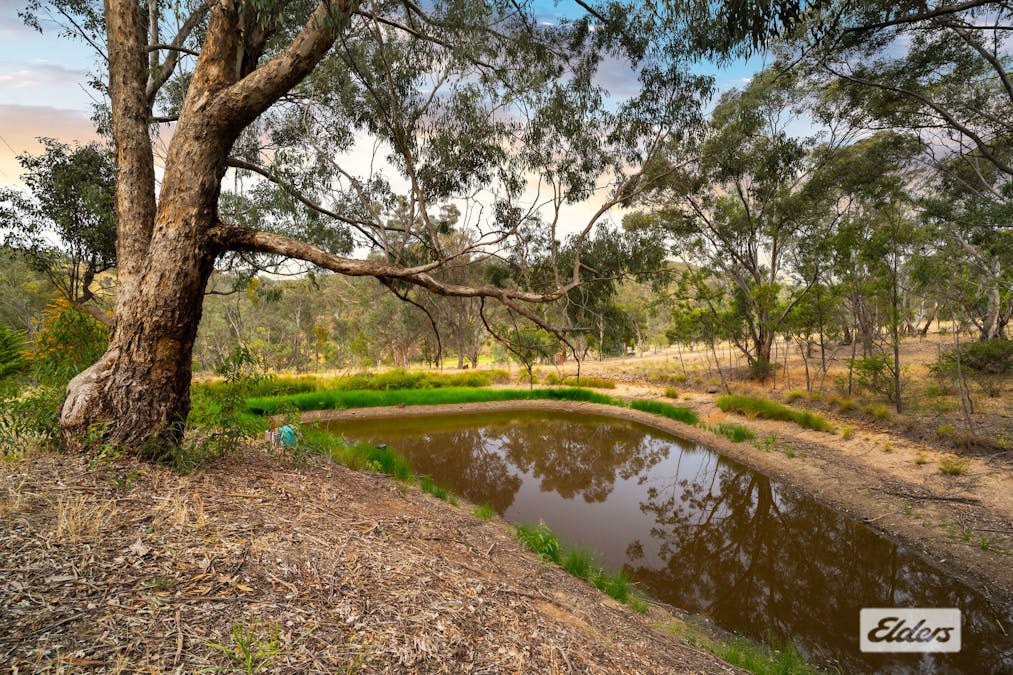 472 Splitters Creek Road, Splitters Creek, NSW, 2640 - Image 24