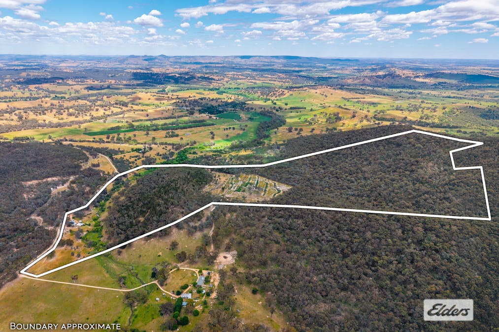 161 Ferndale Road, Woomargama, NSW, 2644 - Image 34