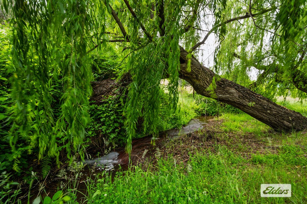 161 Ferndale Road, Woomargama, NSW, 2644 - Image 24