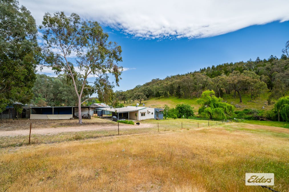 161 Ferndale Road, Woomargama, NSW, 2644 - Image 16