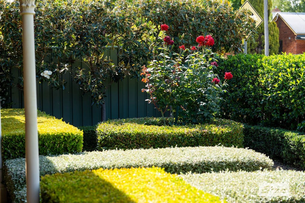 477 George Street, Albury, NSW, 2640 - Image 6