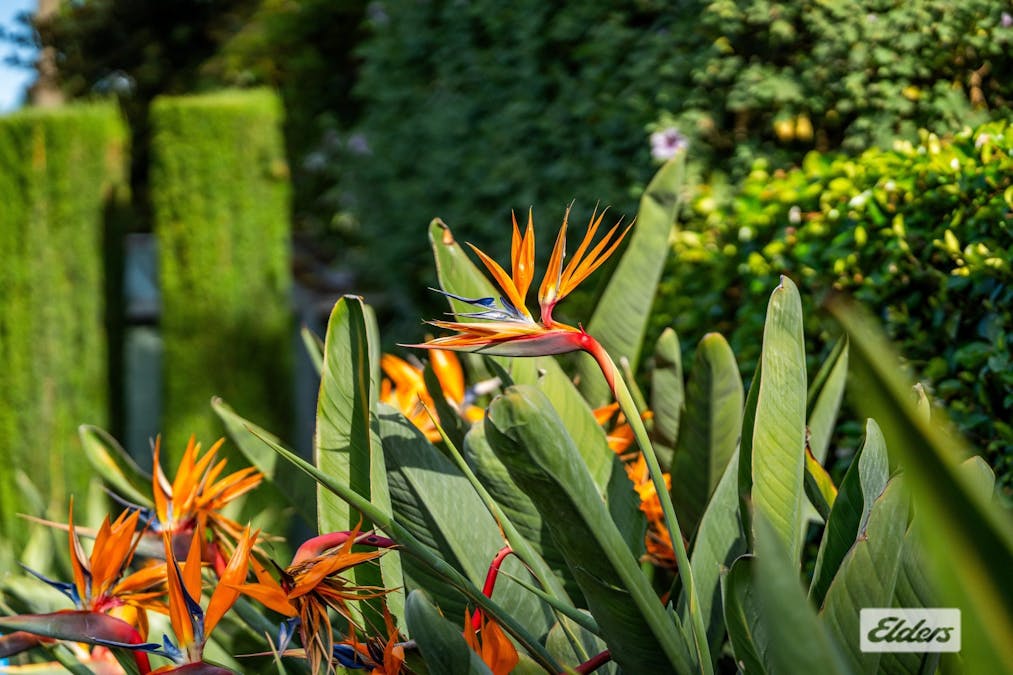 477 George Street, Albury, NSW, 2640 - Image 30