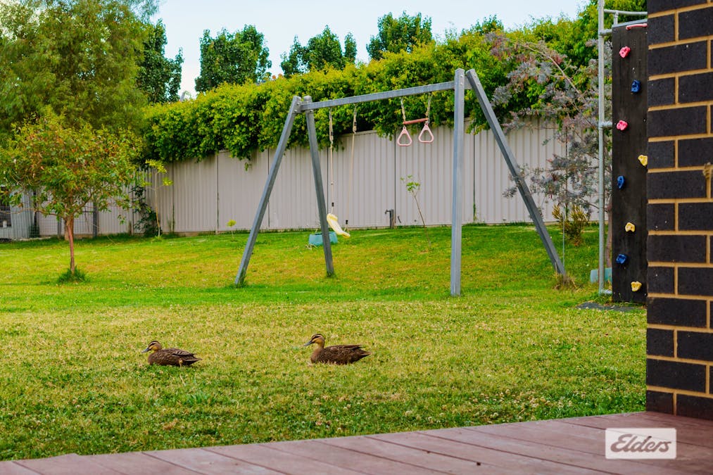 3 Chester Circuit, Huon Creek, VIC, 3691 - Image 25