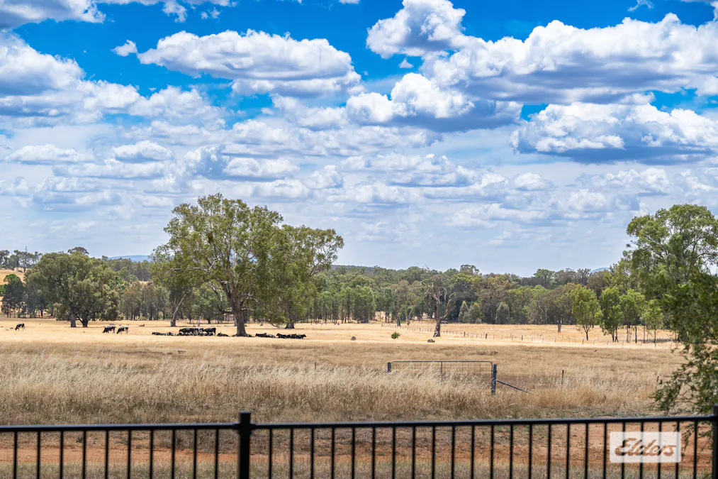 14 Barnett Avenue, Thurgoona, NSW, 2640 - Image 18