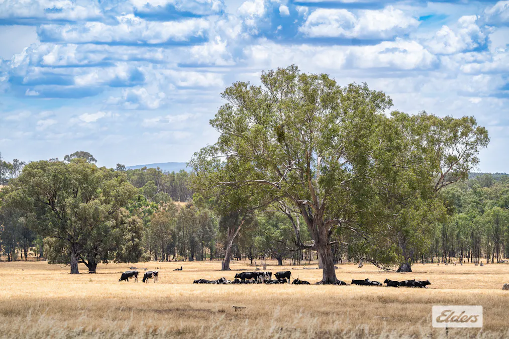 14 Barnett Avenue, Thurgoona, NSW, 2640 - Image 19