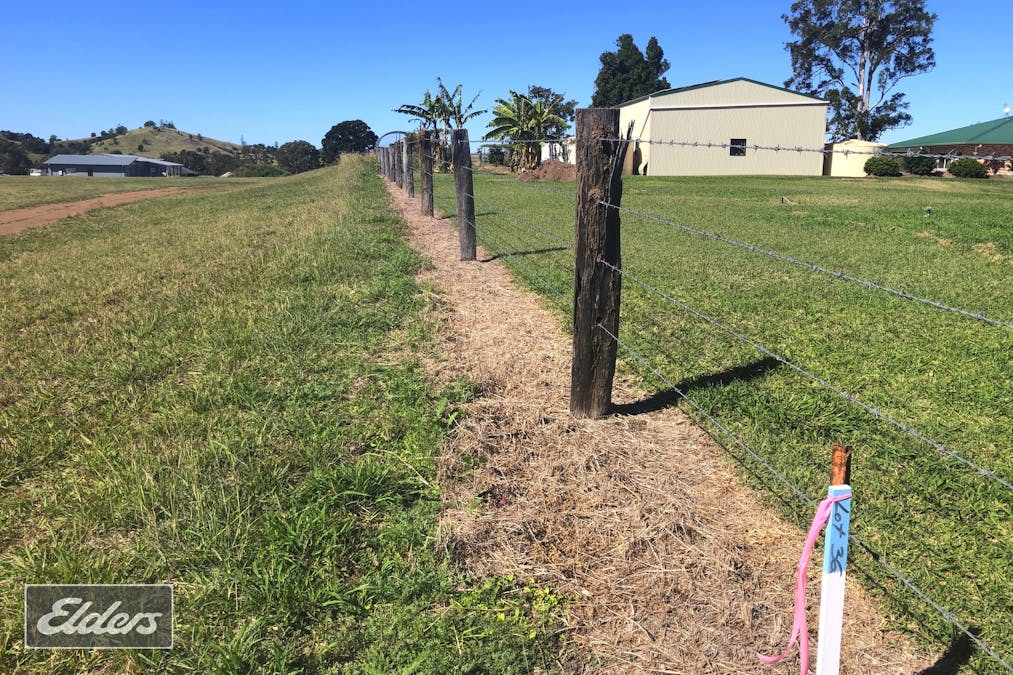 Lot 37 Meadow View Court, Pie Creek, QLD, 4570 - Image 2