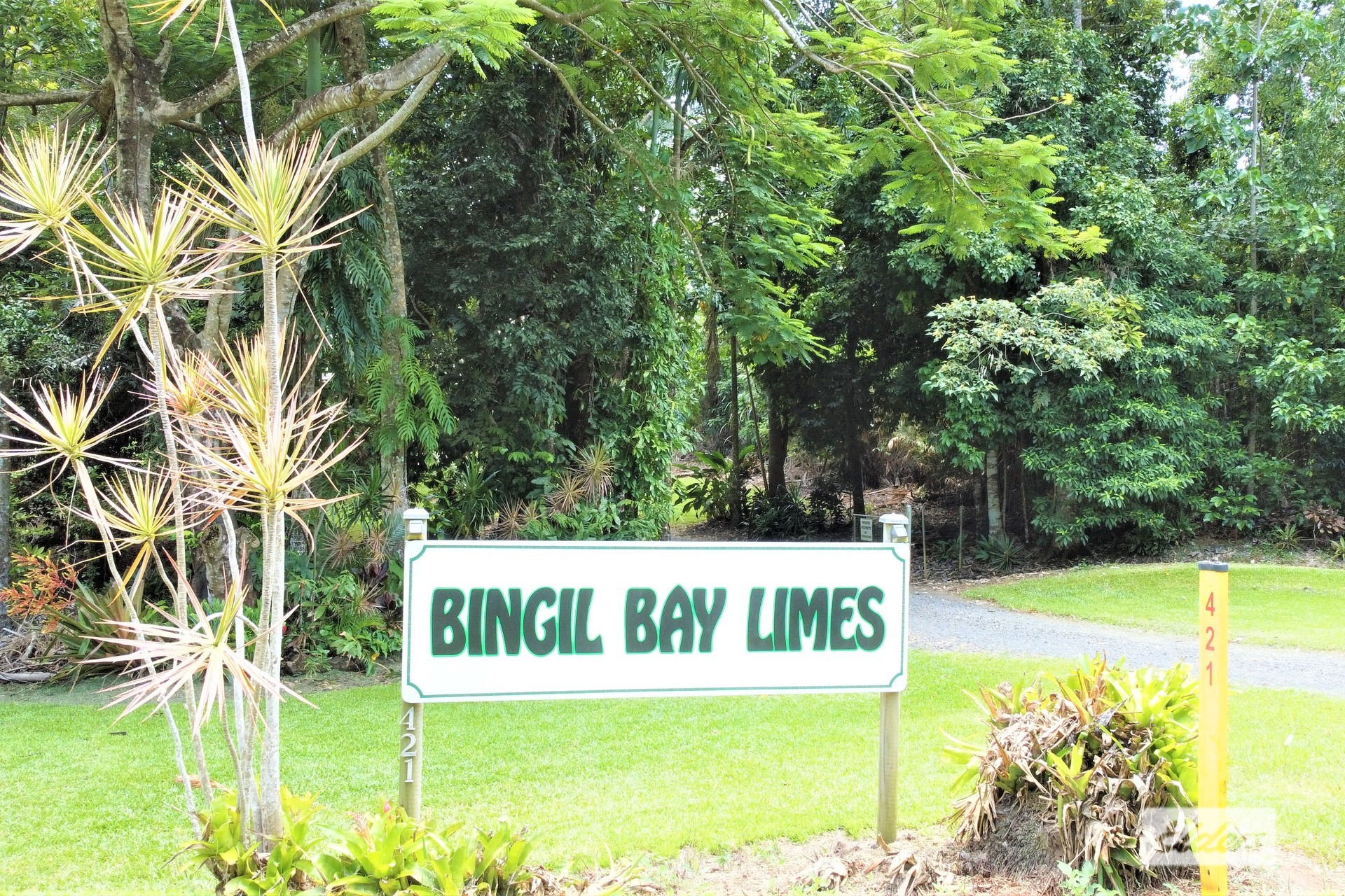 421 Bingil Bay Road, Bingil Bay, QLD, 4852 Sold Elders Real Estate