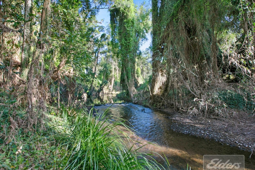 Pie Creek, QLD, 4570 - Image 10
