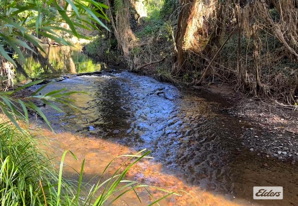 Pie Creek, QLD, 4570 - Image 3