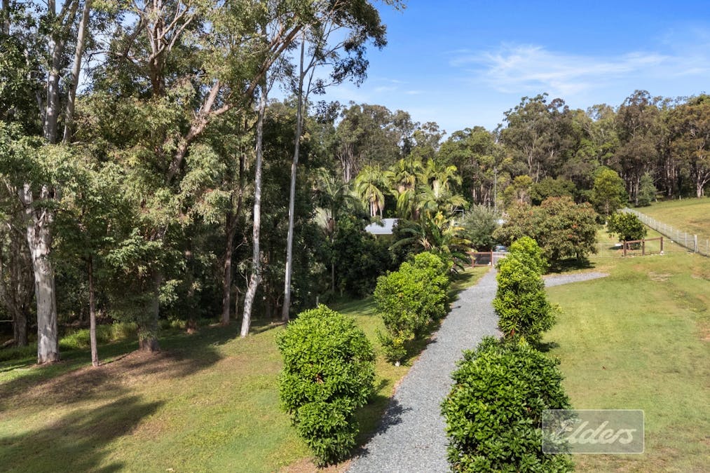 81 Long Road, Pie Creek, QLD, 4570 - Image 4