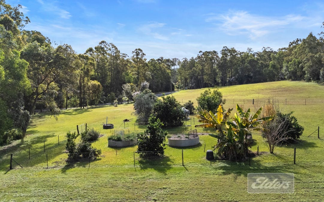 81 Long Road, Pie Creek, QLD, 4570 - Image 11
