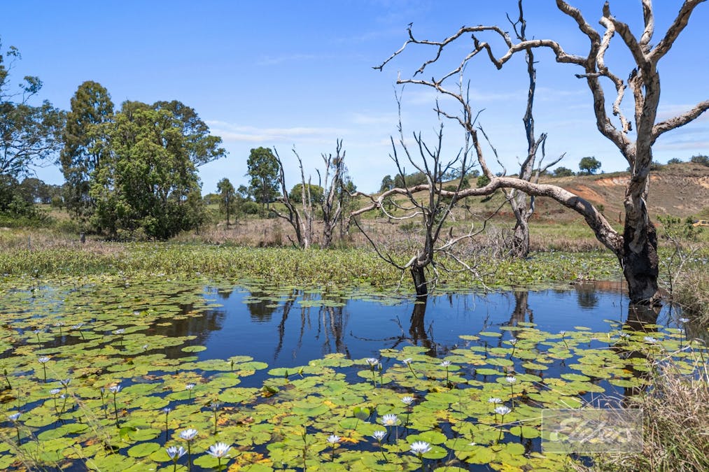 87 Jensen Road, Lower Wonga, QLD, 4570 - Image 19