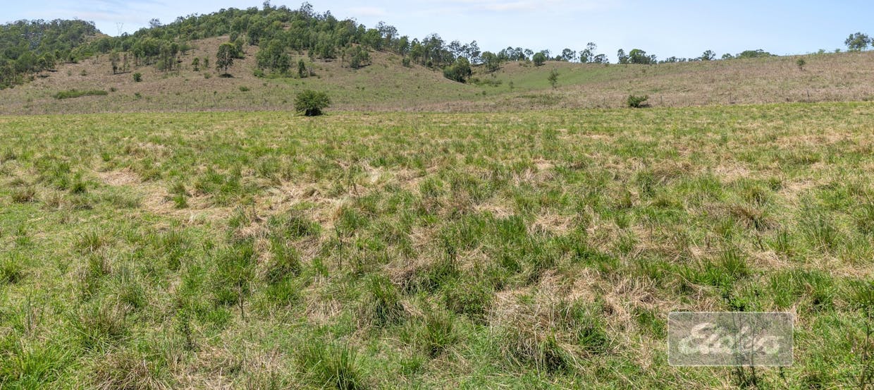 87 Jensen Road, Lower Wonga, QLD, 4570 - Image 13