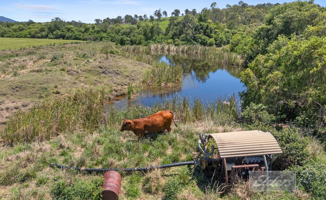 87 Jensen Road, Lower Wonga, QLD, 4570 - Image 23