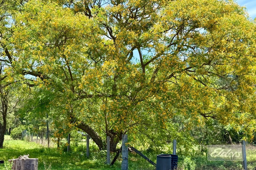 68 Thornside Road, Widgee, QLD, 4570 - Image 16