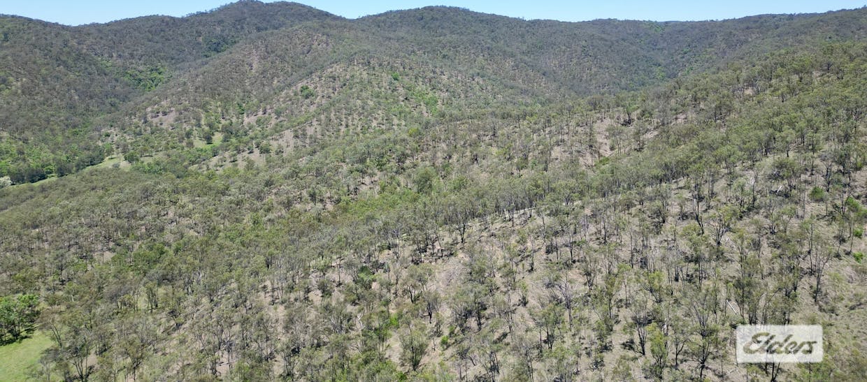 1465 Blacksnake Road, Black Snake, QLD, 4600 - Image 15